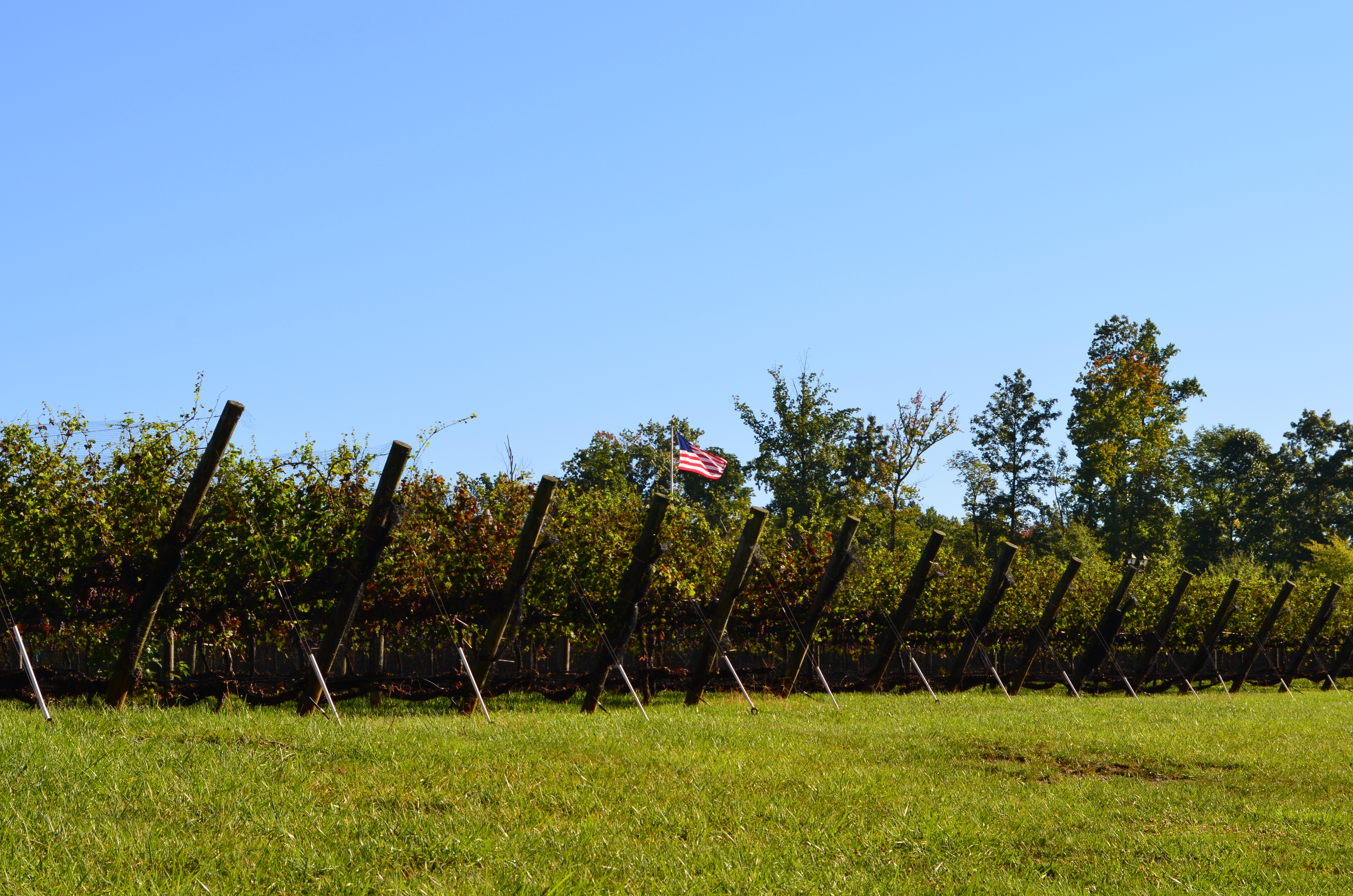 ./2013/Lexington NC/DSC_2951.JPG